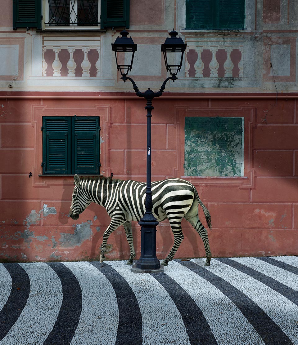 Le collaborazioni della bottega Ceramiche Pierluca. Albisola, Savona.