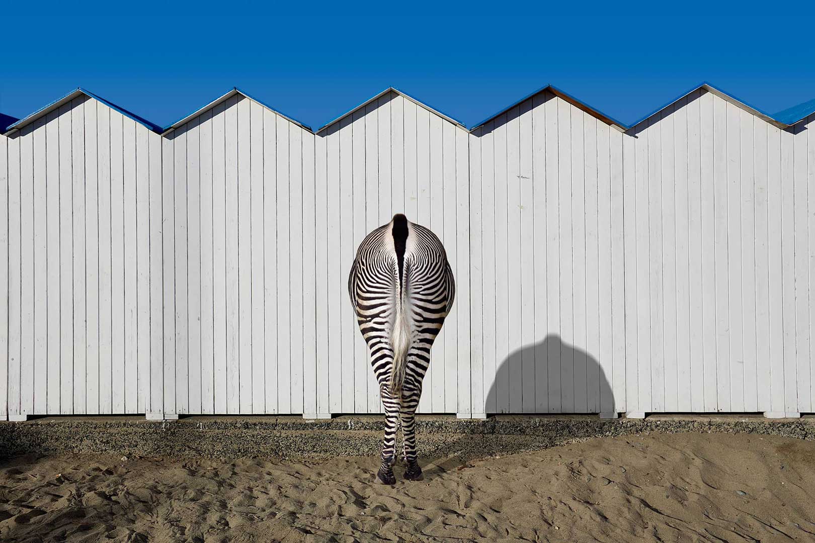 Gli autori della bottega Ceramiche Pierluca. Albisola, Savona