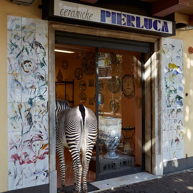 La storia della bottega Ceramiche Pierluca. Albisola, Savona